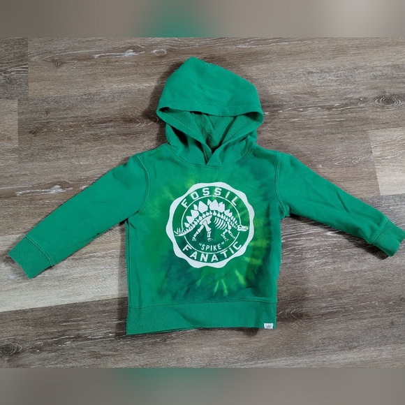 •BABY GAP BOYS GREEN DINOSAUR FOSSIL GRAPHIC HOODIE SWEATSHIRT Toddler 4 Year - Picture 2 of 9